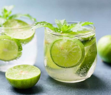 Mojito citron menthe au thermomix