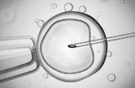 Bioéthique 2021 (11) : adoption définitive du texte, les embryons humains protestent ! Bioéthique 2021 (11) : adoption définitive du texte, les embryons humains protestent !