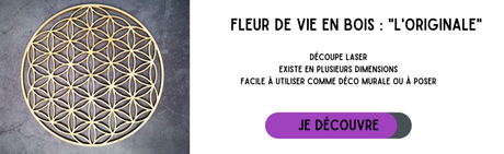 grille fleur de vie en bois