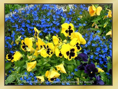 Le Pintemps et les fleurs