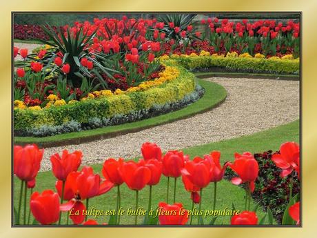 Le Pintemps et les fleurs