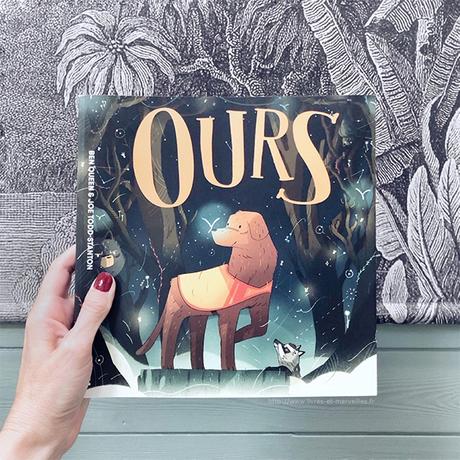 Bd jeunesse : 🐻 Ours 🐻