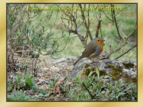 Le Pintemps - Les oiseaux