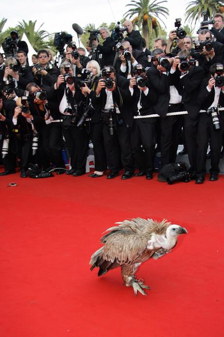 Le Carnaval des Animaux