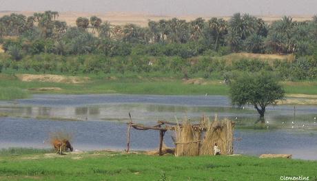 Voyage en Egypte - Croisière sur le Nil