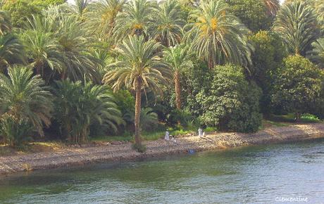 Voyage en Egypte - Croisière sur le Nil