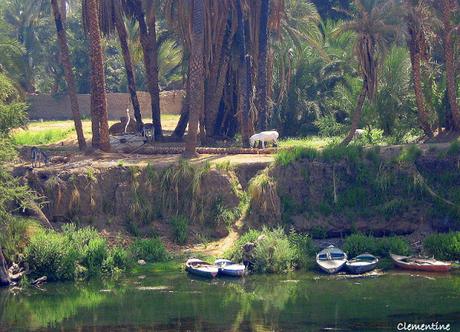 Voyage en Egypte - Croisière sur le Nil