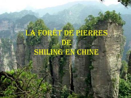 La Chine - La Foret de Pierres
