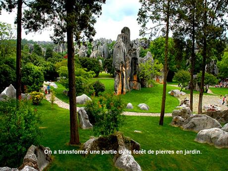 La Chine - La Foret de Pierres