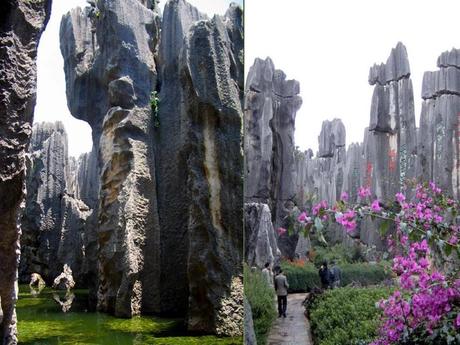 La Chine - La Foret de Pierres