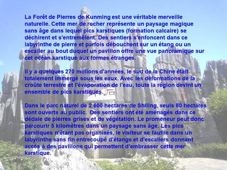 La Chine - La Foret de Pierres