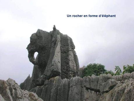 La Chine - La Foret de Pierres