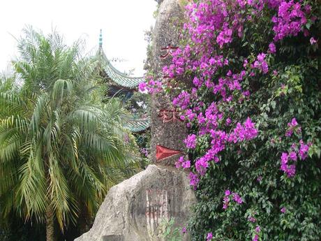 La Chine - La Foret de Pierres