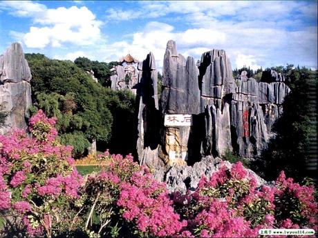 La Chine - La Foret de Pierres