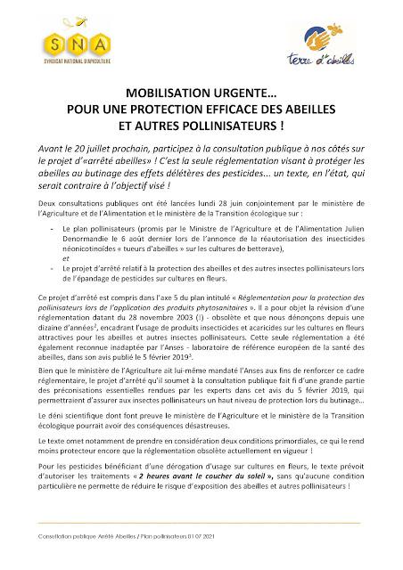 Le syndicat national d'apiculture lance un appel : pour une protection efficace des abeilles