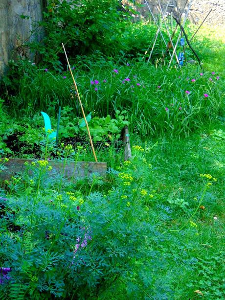 Shakshuka avec oeuf végétal Shakshuka avec oeuf végétal