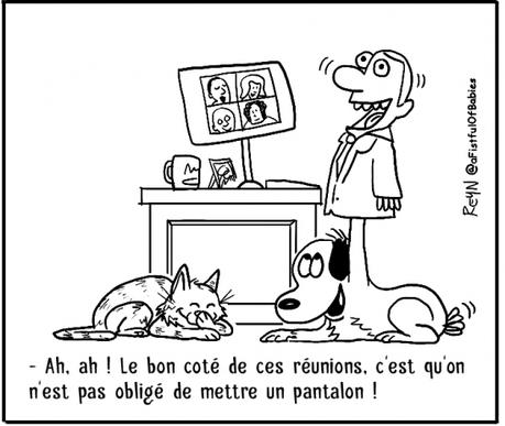 webzine,bd,zébra,fanzine,gratuit,bande-dessinée,comic-strip,reyn,afistfulofbabies,zoom,télétravail,chien,humour,gag