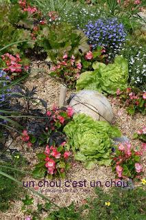 tout disparaitra tout disparaitra