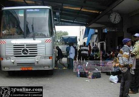 Cameroun – Agences de voyages : Ce n’est pas encore la grande affluence