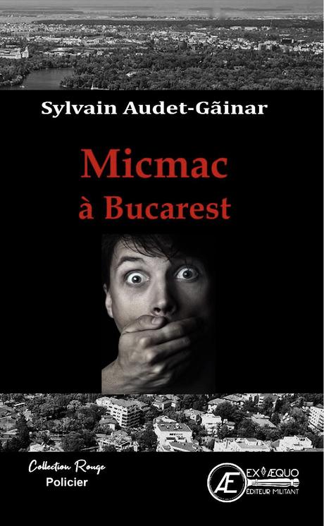 A la découverte de … Sylvain Audet-Găinar