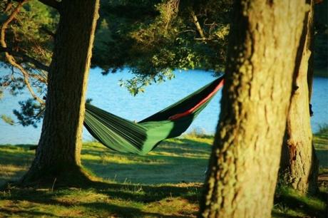 Chroniques estivales