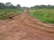 Propriété foncière Haro violation Cameroun