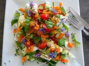 Salade d'été toutes couleurs astuce pour cultiver basilic
