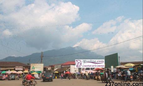 Cameroun – Mafia à Nkongsamba : Relance des chantiers clandestins