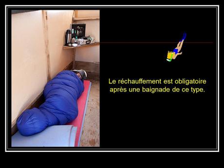 La Russie - La Sirène et les Bélugas