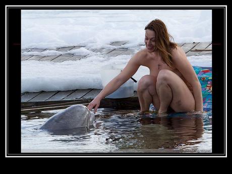 La Russie - La Sirène et les Bélugas