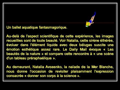 La Russie - La Sirène et les Bélugas