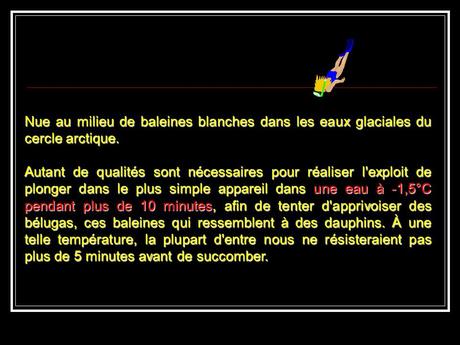 La Russie - La Sirène et les Bélugas