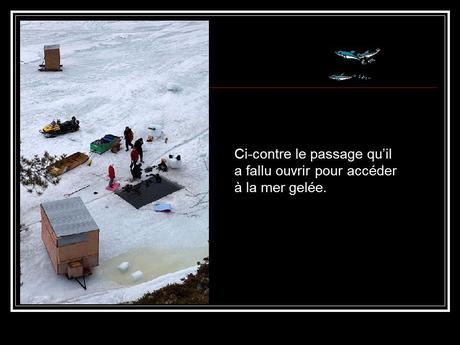 La Russie - La Sirène et les Bélugas