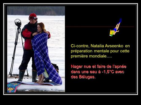 La Russie - La Sirène et les Bélugas