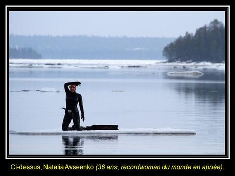 La Russie - La Sirène et les Bélugas