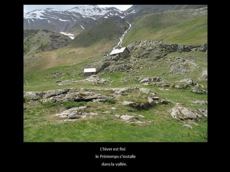 La France - Les Marmottes