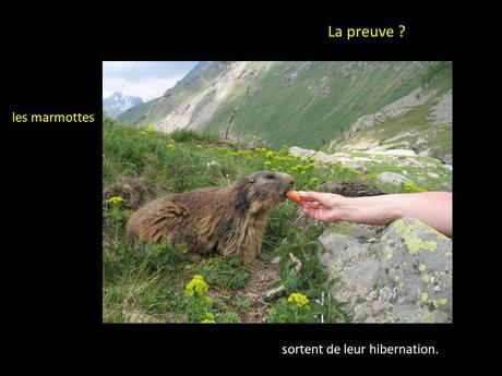 La France - Les Marmottes