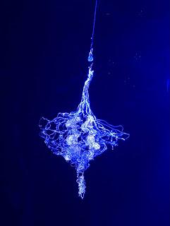 Avignon le 11 juillet aux Gémeaux, au Verbe fou, à Théâtre Actuel, et au Girasole