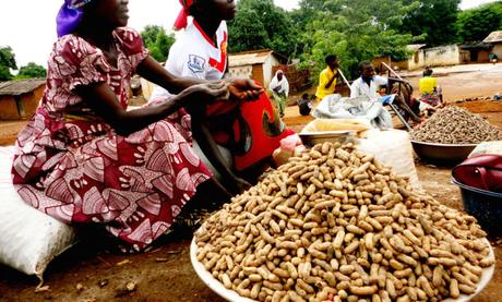 Cameroun : 3000 fcfa pour un seau de 5 litres d’arachides
