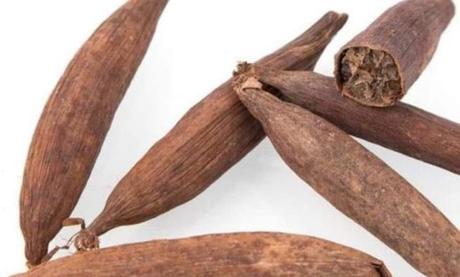 Cameroun – Traditions : Ce que vaut le jujube en pays Bamiléké