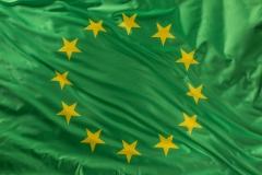 drapeau européen vert.jpeg