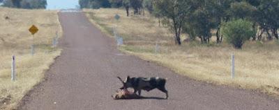 Un premier tour du monde, 23e partie