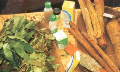 Pharmacopée traditionnelle : La bataille de la reconnaissance