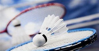 raquettes,enfance,adolescence,sport,badminton,jeu de raquettes