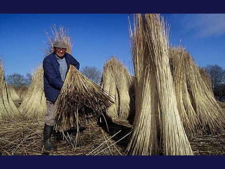 La France - une partie de la Bretagne