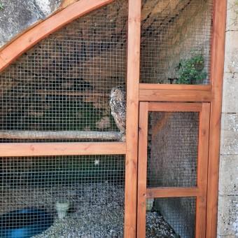 Cage ! © Patrick Faus Cage ! © Patrick Faus