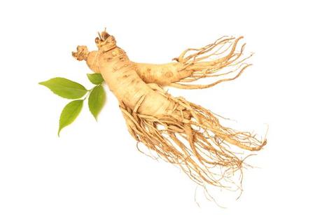 Ginseng : quels effets sur notre énergie et notre bien-être ? 🏋🧘 Ginseng : quels effets sur notre énergie et notre bien-être ? 🏋🧘