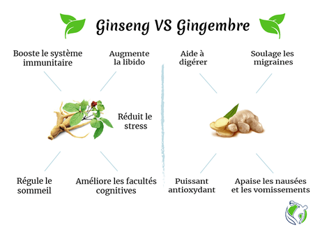 Ginseng : quels effets sur notre énergie et notre bien-être ? 🏋🧘 Ginseng : quels effets sur notre énergie et notre bien-être ? 🏋🧘