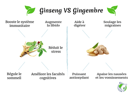 Ginseng : quels effets sur notre énergie et notre bien-être ? 🏋🧘