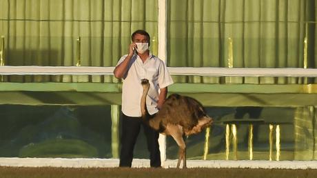 Brésil : Hospitalisation de Jair Bolsonaro